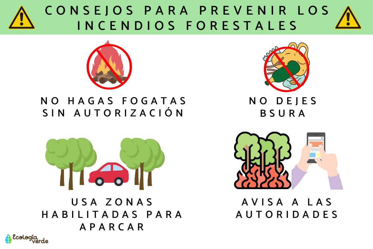 C Mo Prevenir Incendios Forestales En Reas Reforestadas