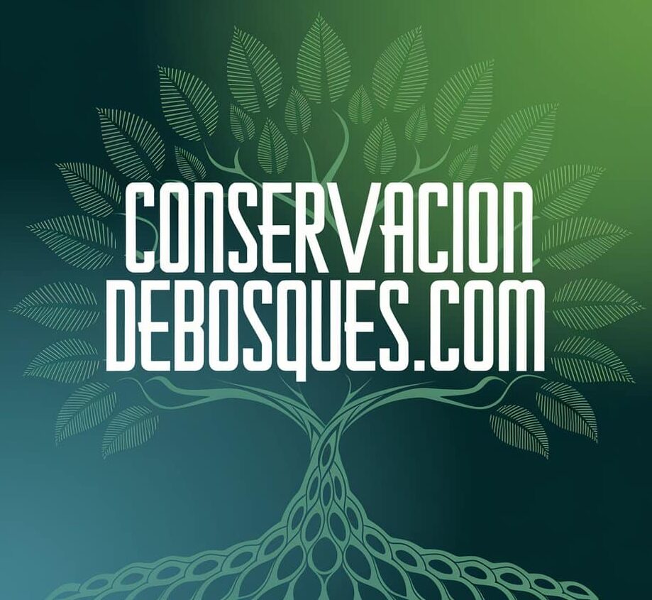 conservaciondebosques.com